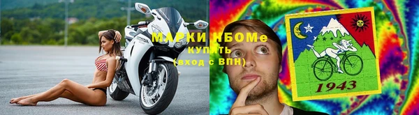 гидра Богданович