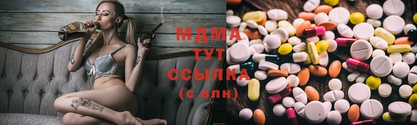 мдпв Богородск