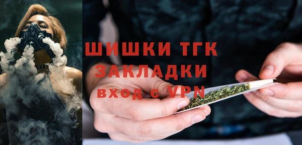 гидра Богданович