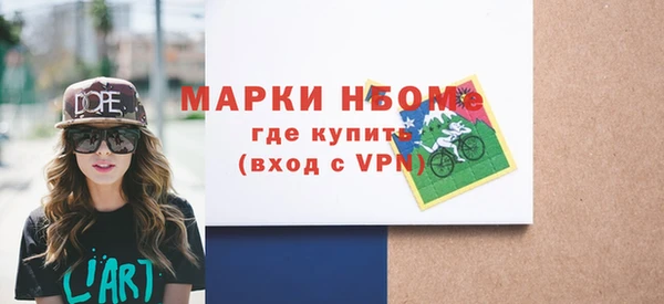 мдпв Богородск