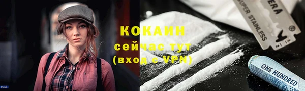 МДПВ Богородицк