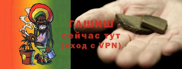 гидра Богданович