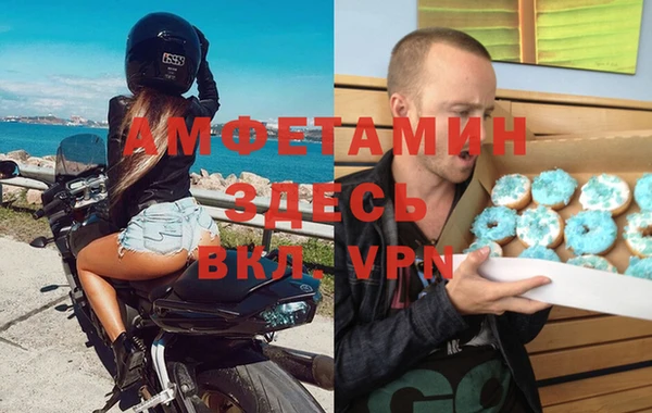 гидра Богданович