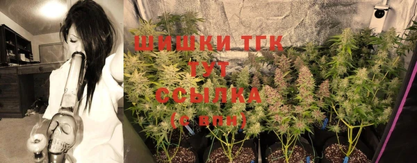МДПВ Богородицк