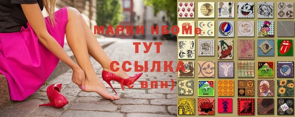гидра Богданович