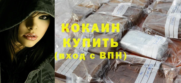 гидра Богданович