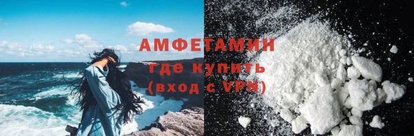 гидра Богданович