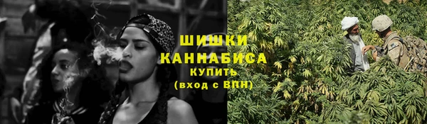 гидра Богданович